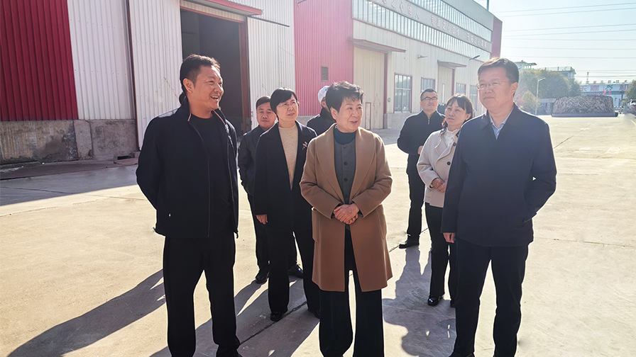 ​The chairman of the Linqing CPPCC and the leaders of the Development zone Management Committee inspected Shandong Fengxin to help the development of enterprises