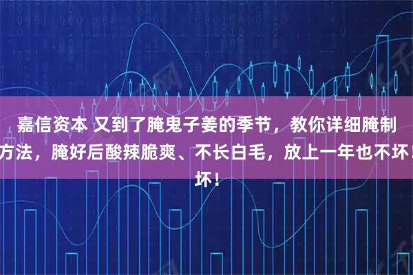 嘉信资本 又到了腌鬼子姜的季节，教你详细腌制方法，腌好后酸辣脆爽、不长白毛，放上一年也不坏！